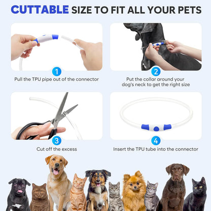 Light up Dog Collar - Waterproof LED Dog Collar Rechargeble, TPU Cuttable Glow in the Dark Safety Dog Lights for Night Walking(Blue)