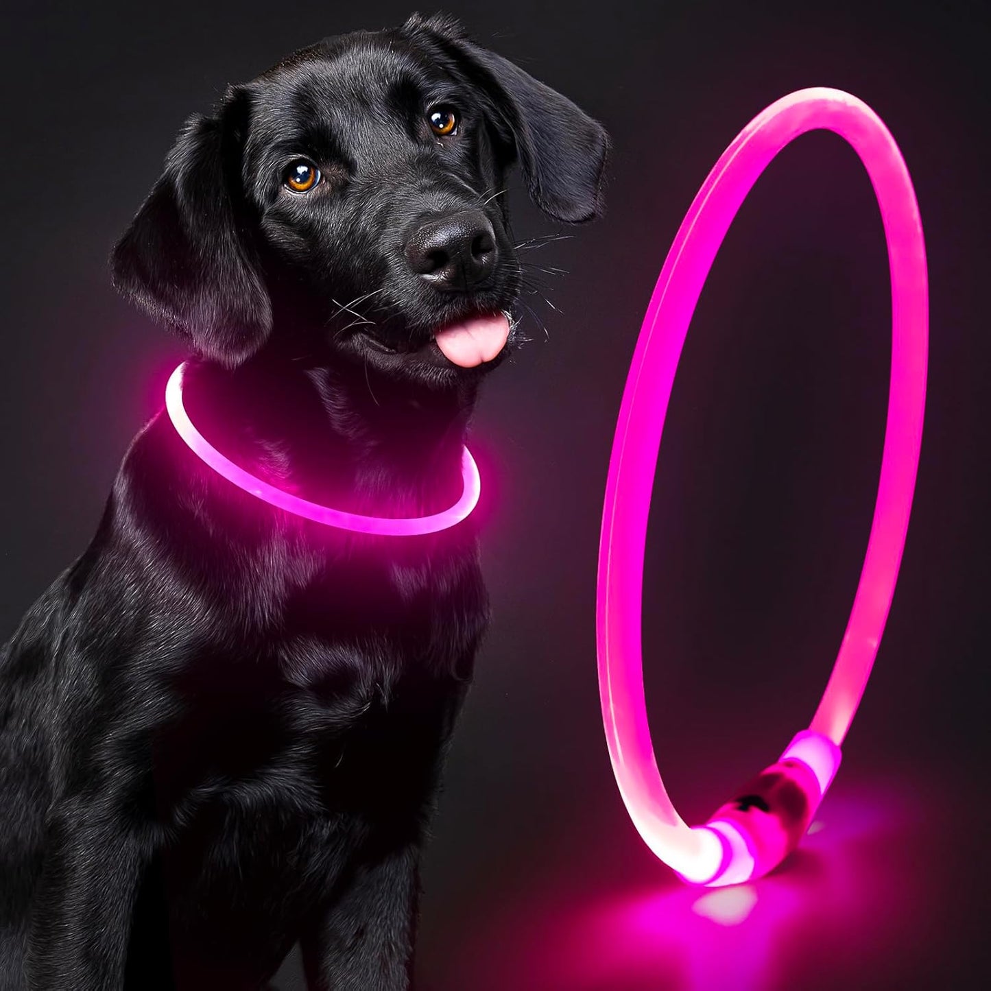 Light up Dog Collar - Waterproof LED Dog Collar Rechargeble, TPU Cuttable Glow in the Dark Safety Dog Lights for Night Walking(Blue)