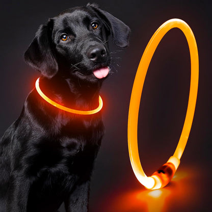 Light up Dog Collar - Waterproof LED Dog Collar Rechargeble, TPU Cuttable Glow in the Dark Safety Dog Lights for Night Walking(Blue)