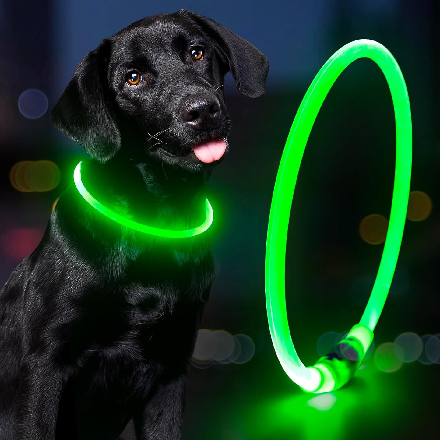 Light up Dog Collar - Waterproof LED Dog Collar Rechargeble, TPU Cuttable Glow in the Dark Safety Dog Lights for Night Walking(Blue)