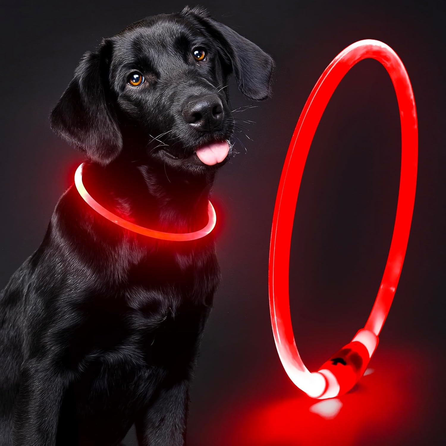 Light up Dog Collar - Waterproof LED Dog Collar Rechargeble, TPU Cuttable Glow in the Dark Safety Dog Lights for Night Walking(Blue)